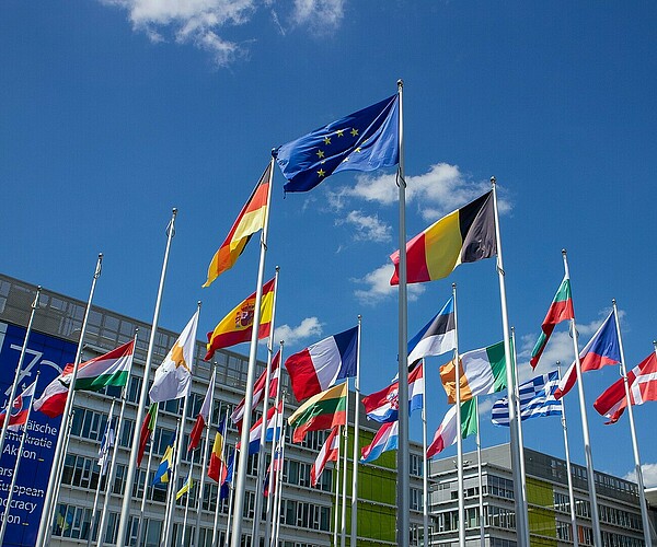 Flaggen der europäischen Union und deren Mitgliedsländer wehen im Wind